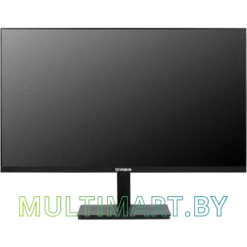 Монитор Irbis SmartView ISM24FIDVesa